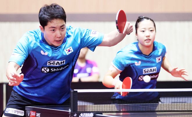 教科书般的 教科书般的