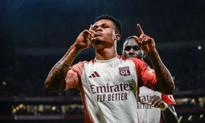 细分析罗纳 细分析罗纳