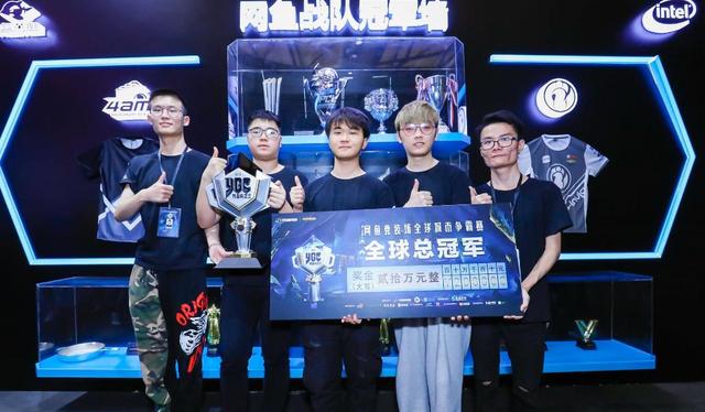 整体竞争力 整体竞争力