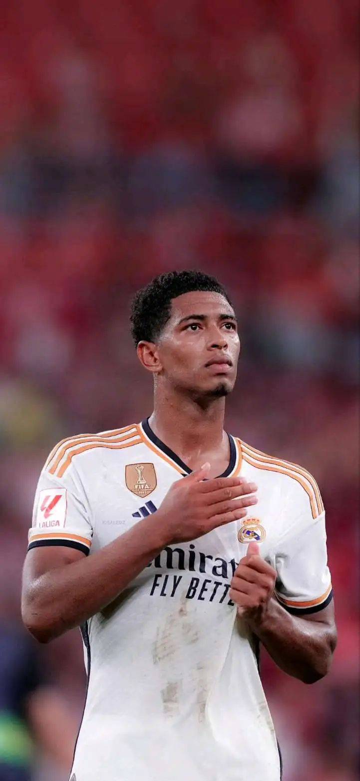 的再分配 的再分配